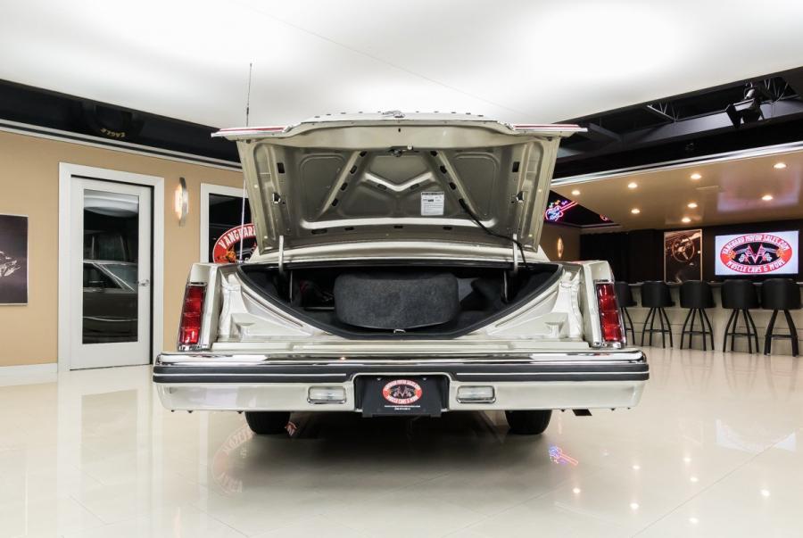 Багажник Lincoln Continental Mark VI Sedan 1980 года  (фото 84 из 111)